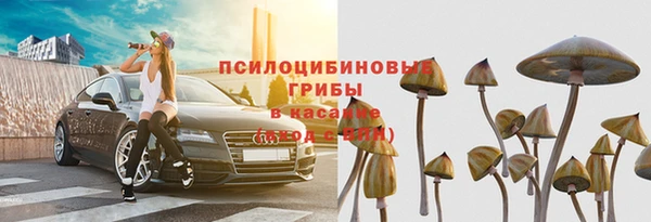 а пвп мука Гусь-Хрустальный