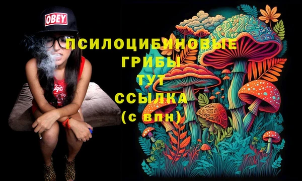 а пвп мука Гусь-Хрустальный