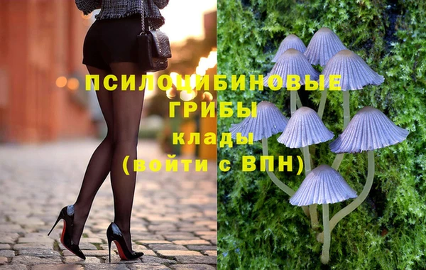 PSILOCYBIN Гусев