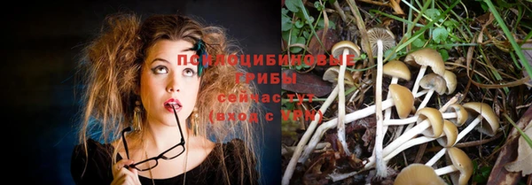 а пвп мука Гусь-Хрустальный