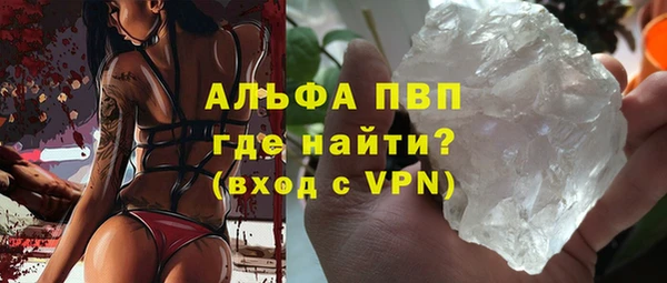 PSILOCYBIN Гусев