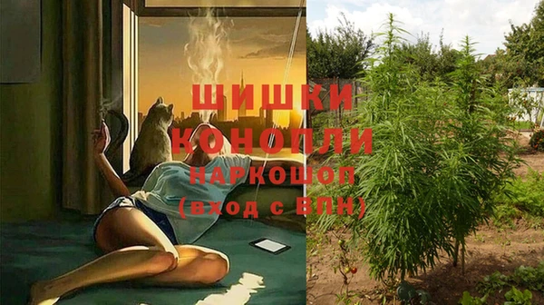 кокс Гусиноозёрск