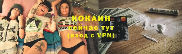 прущие грибы Дмитриев