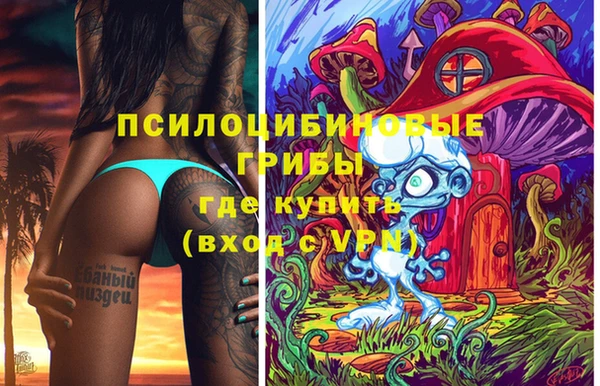 а пвп мука Гусь-Хрустальный