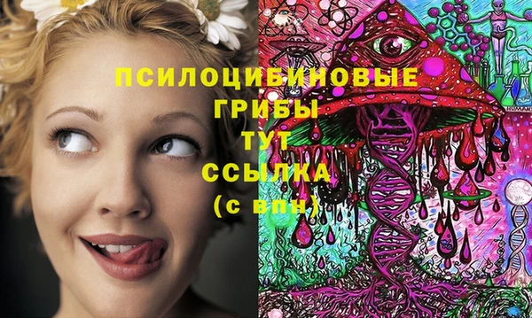 кокс Гусиноозёрск
