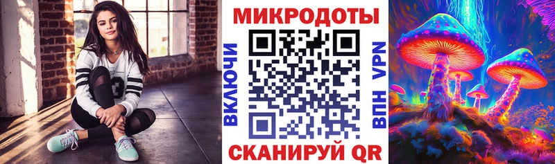 Галлюциногенные грибы Psilocybine cubensis  Купить закладки  Кинель 